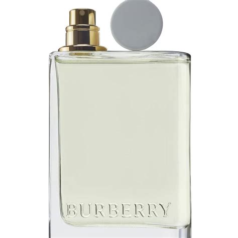 burberry sheer rollerball|Burberry her garden party.